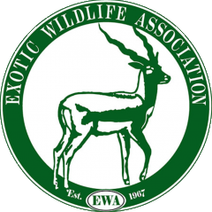 EWA Logo