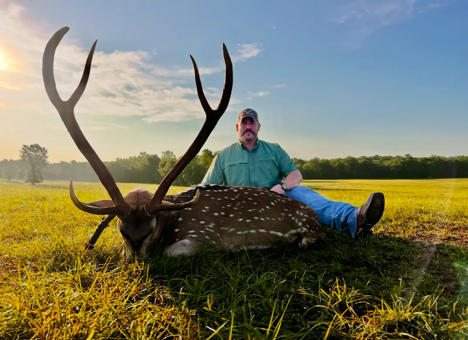 Hunter with Axis Deer